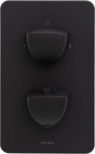 Allen Brau Смеситель для ванны Infinity 5.21216-31 (с внутренней частью, 2 выхода) черный матовый – картинка-3